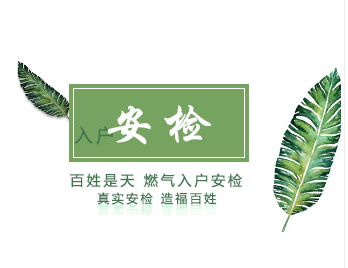 入户安检软件
